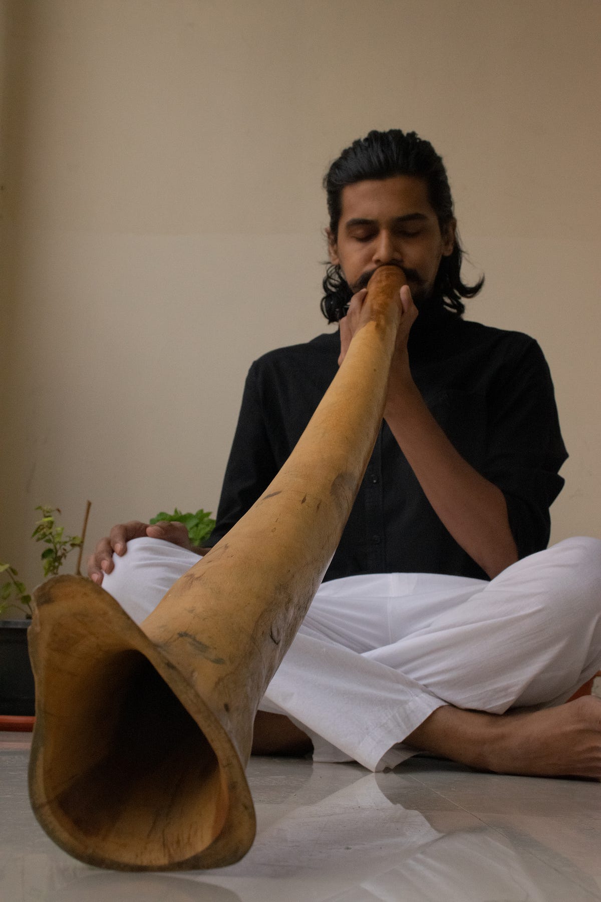 Didgeridoo 2024 house music