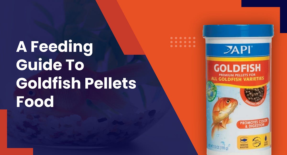 A Feeding Guide To Goldfish Pellets Food by KwikPet Medium