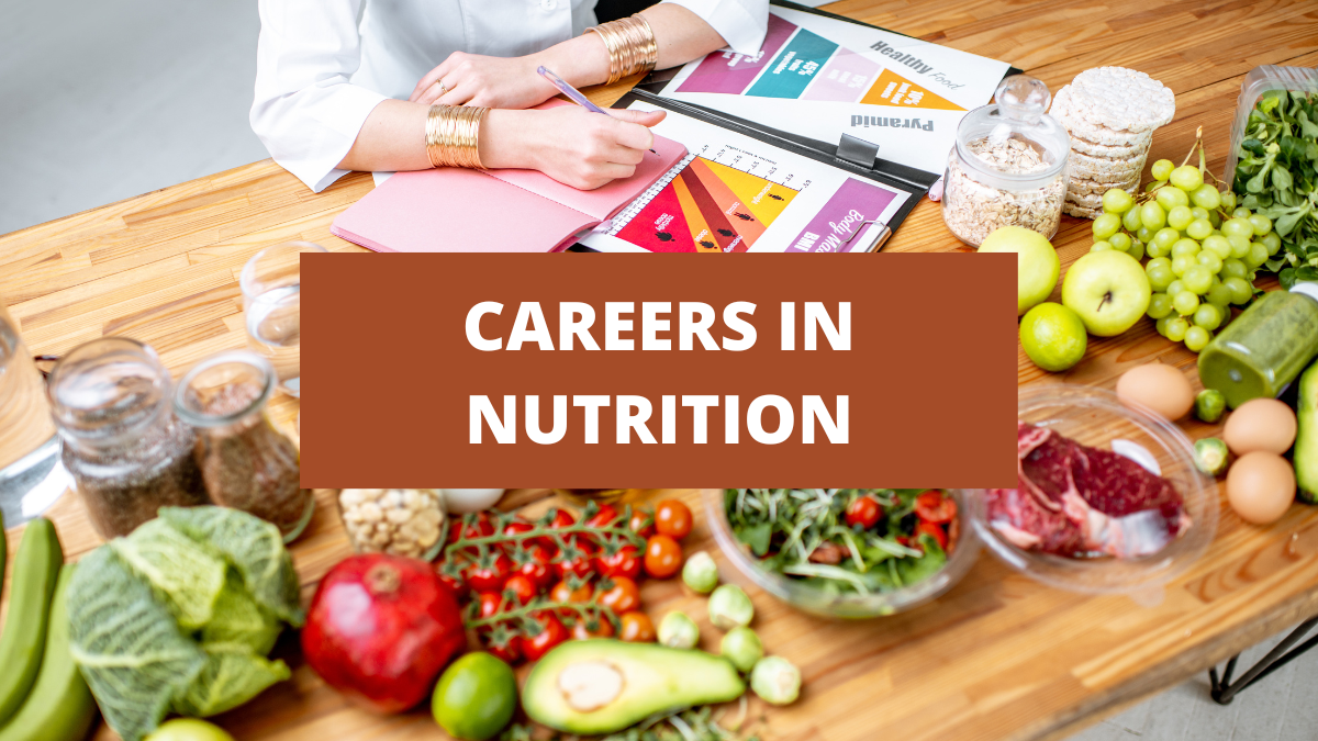 10 Exciting and Rewarding Careers in Nutrition You Should Consider | by  Nutrition Opportunities | Medium