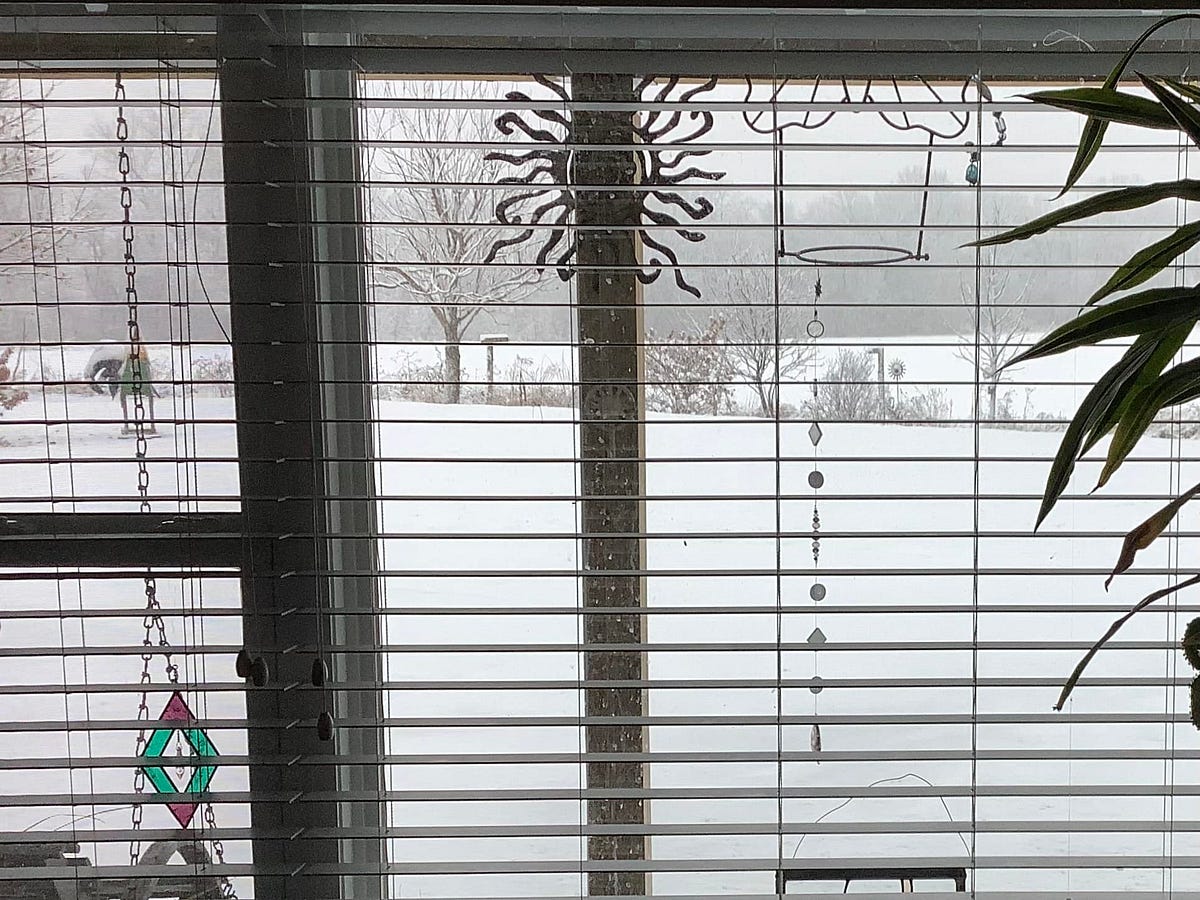 Regrets, amends and LOOKING OUT MY BACK WINDOW 333 by