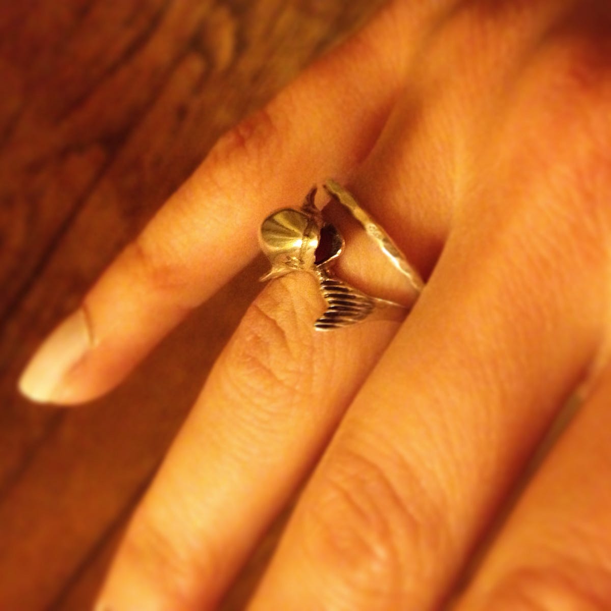 “It all began with the forging of the Great Rings.” | by Melanie Wright ...