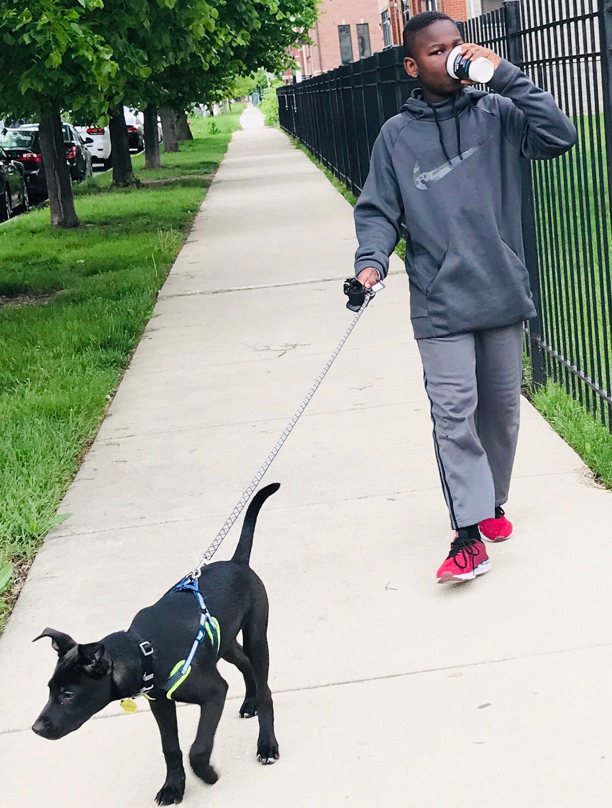 When Being a Good Father Means Being a Good Dog Owner by Chris L