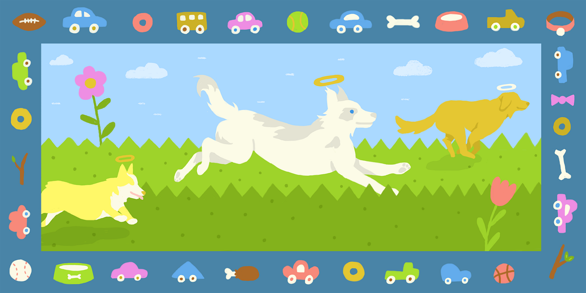 Image of: Why I Adopted a Dying Dog