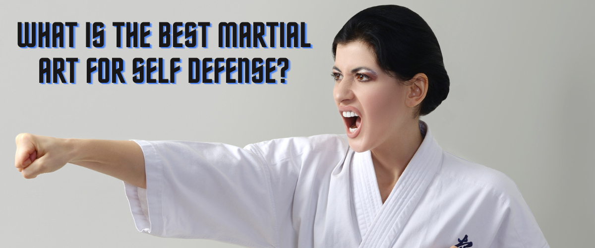 What is The Best Martial Art for Self Defense? by Ashlybrine Medium