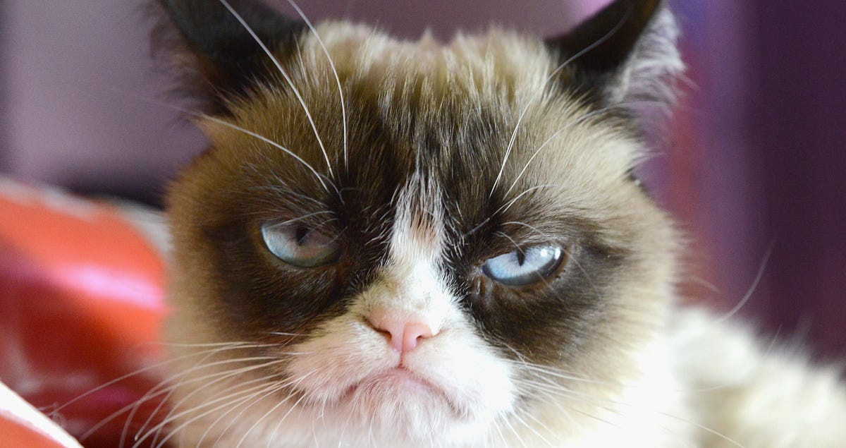 The Angry Programmer 🔊. How an engineer can be competent and… | by ...
