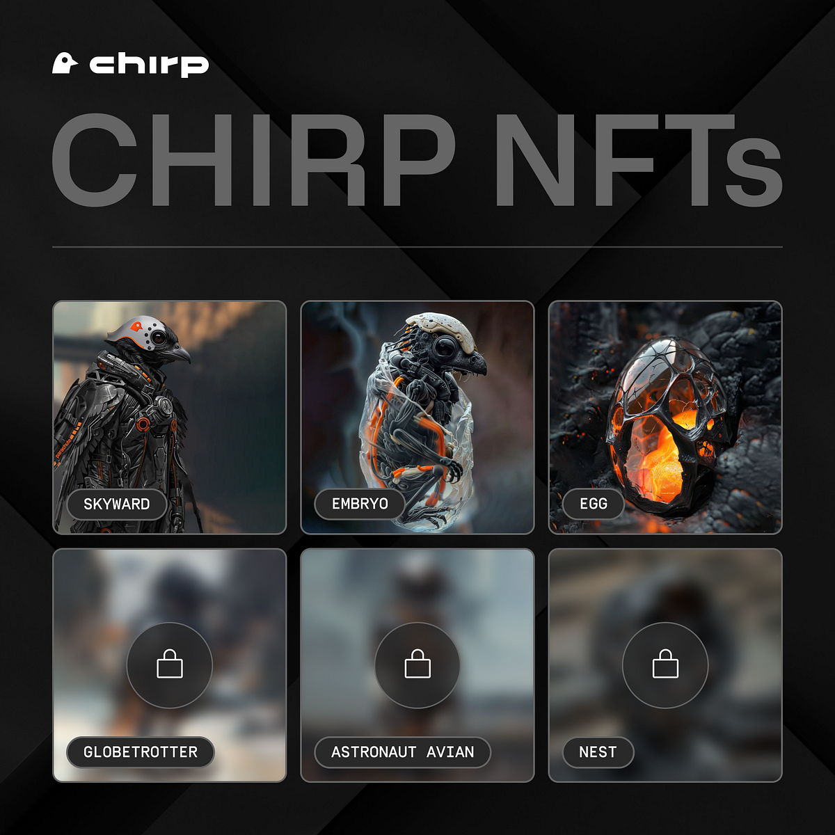 Discover the Chirp NFT Collection: Embryo, Skyward, Egg, and Future  Releases | by Chirp | Medium