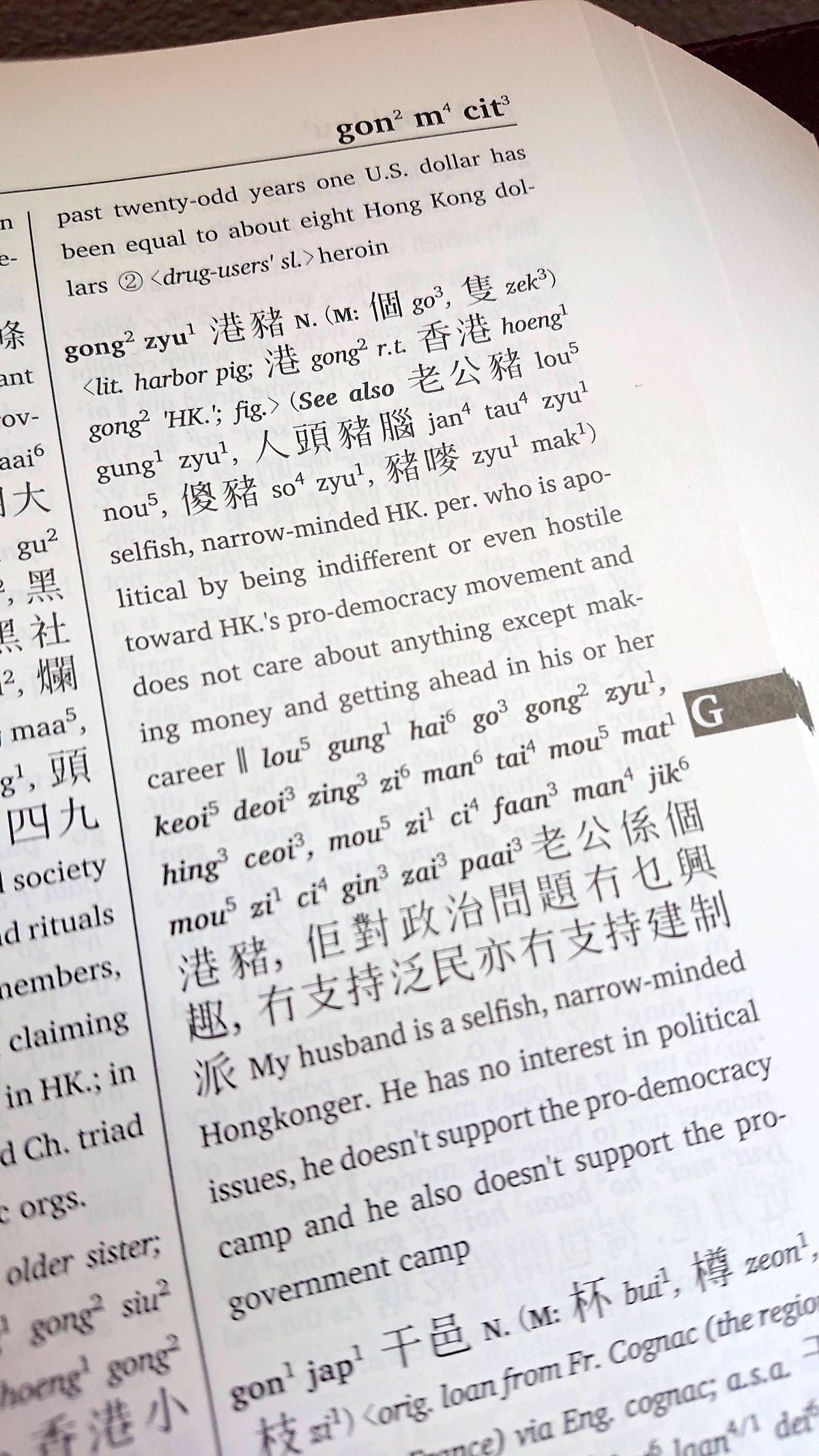 ABC Cantonese-English Comprehensive Dictionary Review | by 出嚟食飯 | Medium