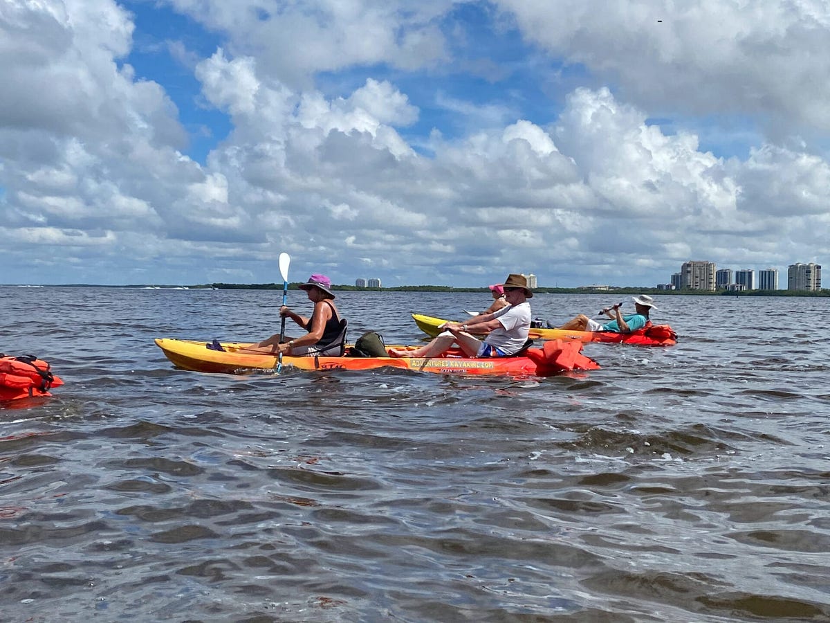 We, at Adventures Kayaking are ecoguided tour specialists and we offer