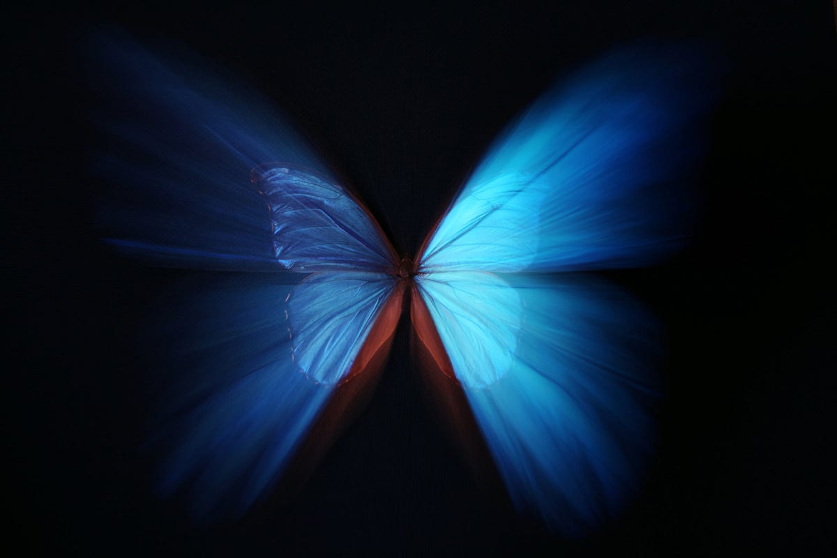The Butterfly Effect How Small Changes Could Lead To A Drastic Result the-butterfly-effect-how-small-changes-could-lead-to-a-drastic-result