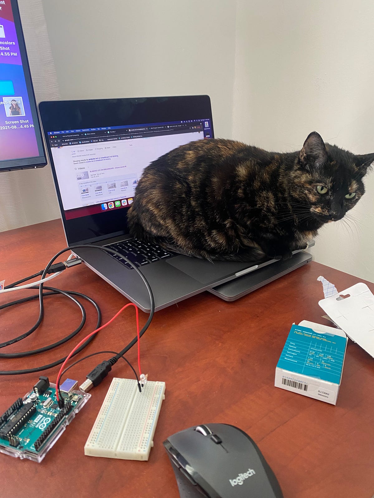 Lab One: Intro to Physical Computing | by Zoe Ingram | Medium
