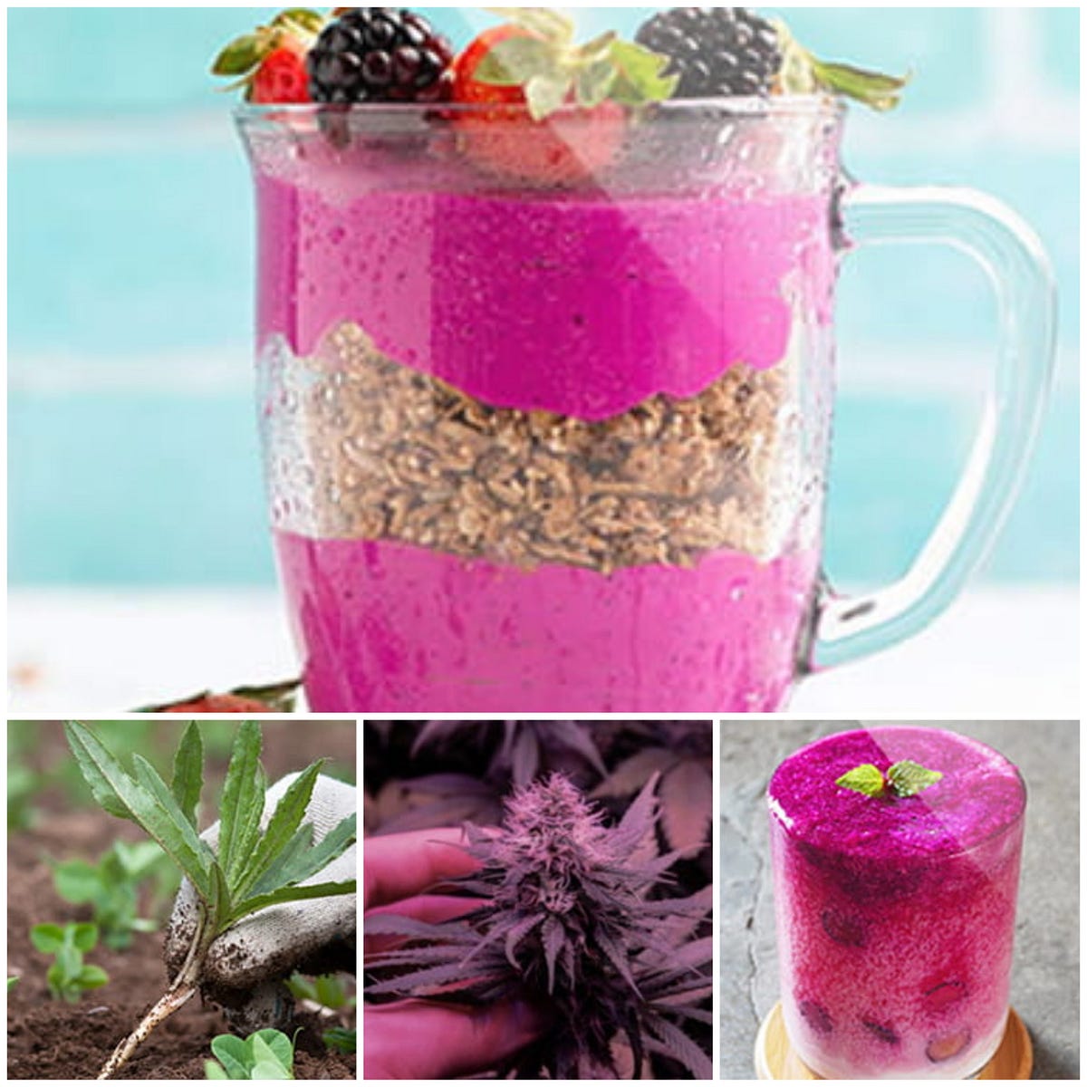 Ikaria Lean Belly Juice, potent formula, fastacting, activate