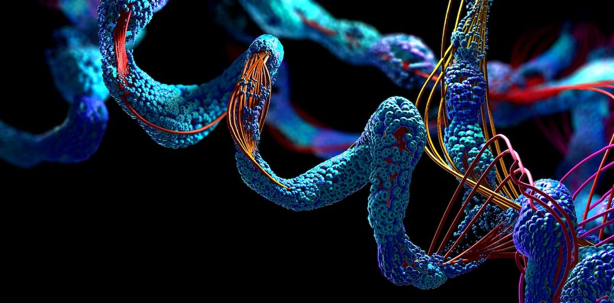 Why Your Body Creates Its Own Medicine