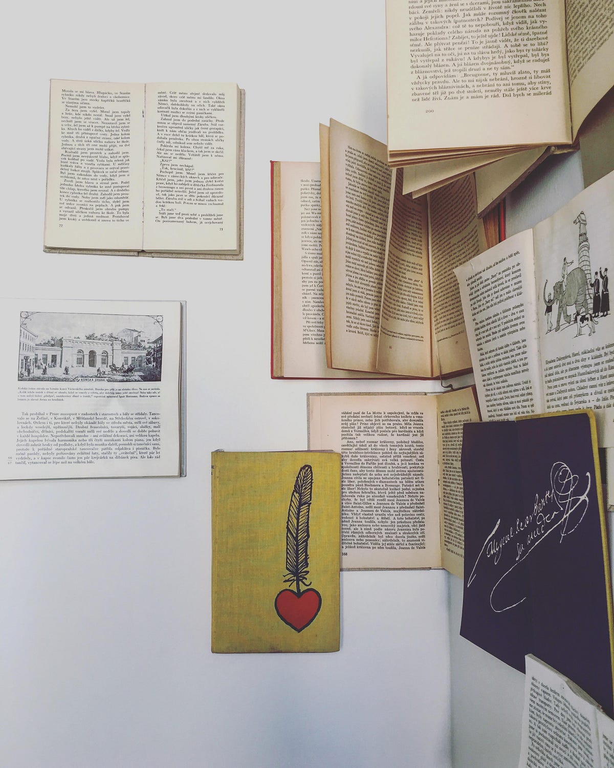WRITE-ALONG SERIES: MAKE AN HONEST CHARACTER | by Katarina Karmazinova ...