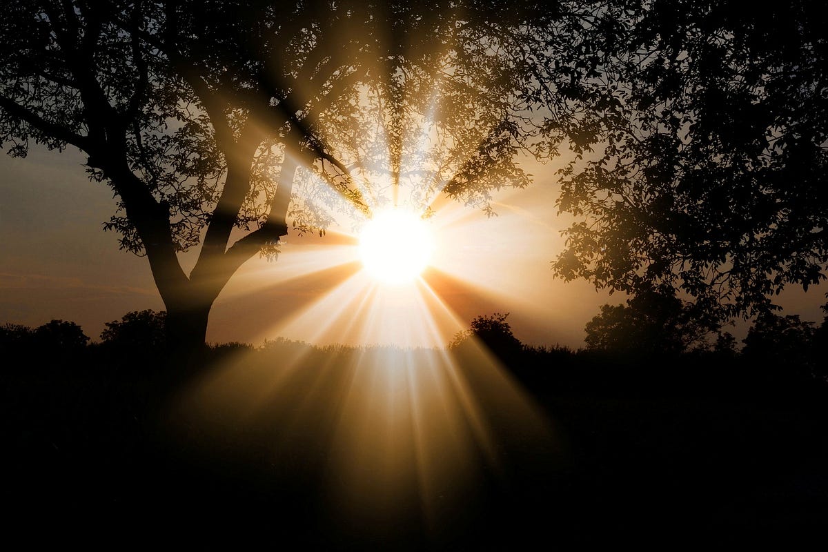 Why is sunlight important to you? by Dt Suman Tibrewala Medium