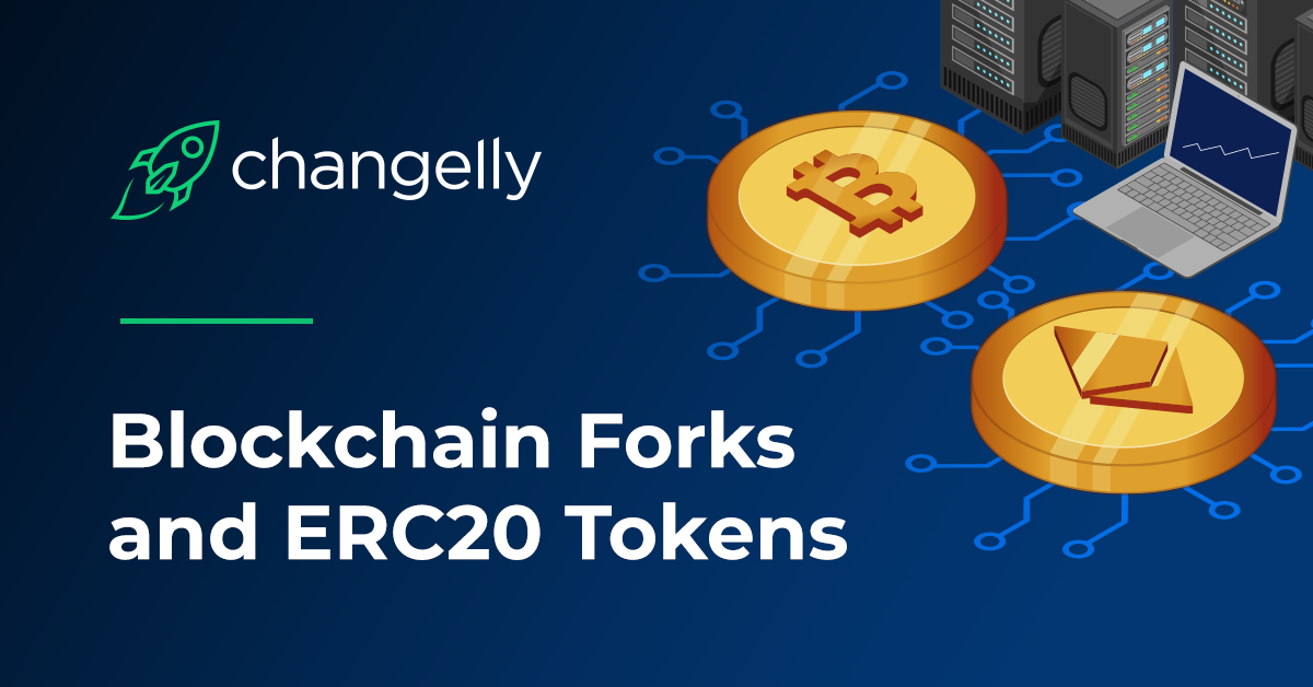 Blockchain forks and ERC20 Tokens Explained by Changelly Team