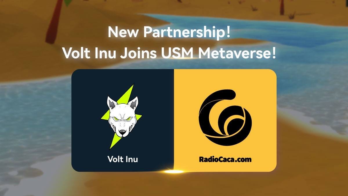 USM.World announces partnership with Volt Inu to open headquarters in the  Virtual World | by RACA3 | Medium