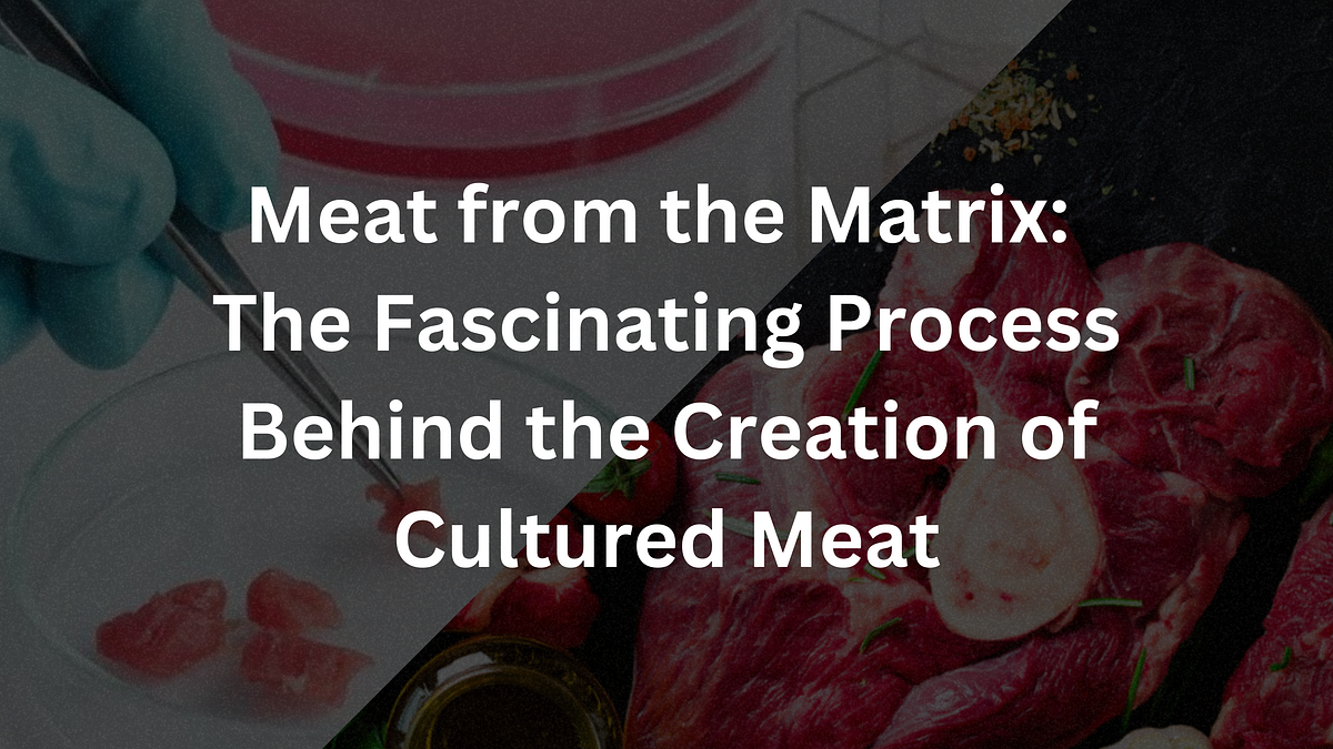 Meat from the Matrix The Fascinating Process Behind the Creation of