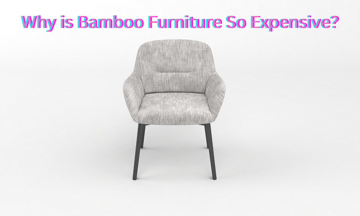 Why is Bamboo Furniture So Expensive? by Bispendra Suren1 Medium