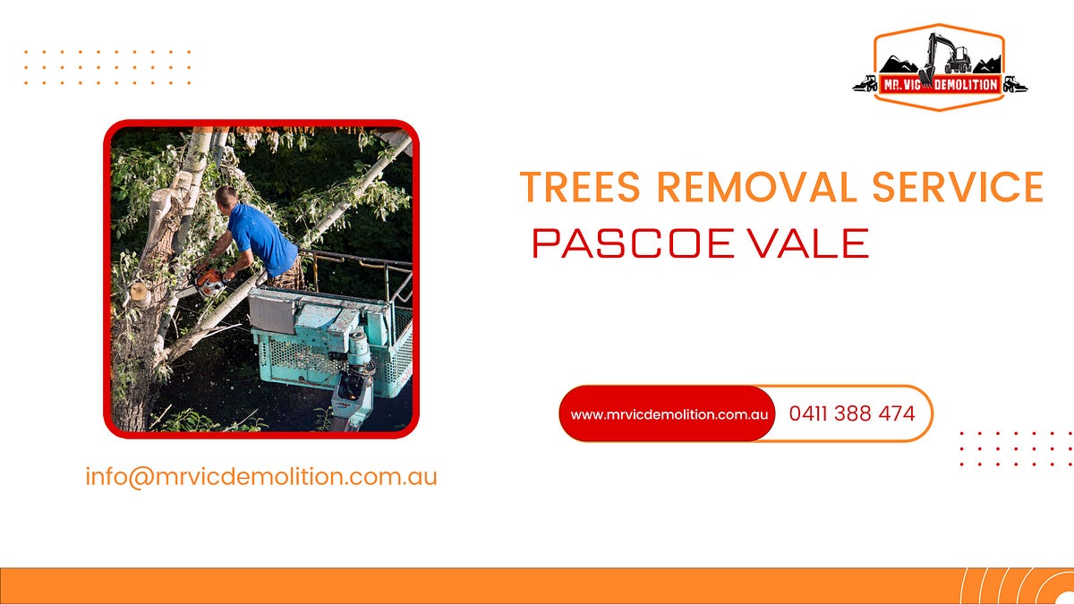 A complete guide to tree removal in Melbourne by Mr vic demolition
