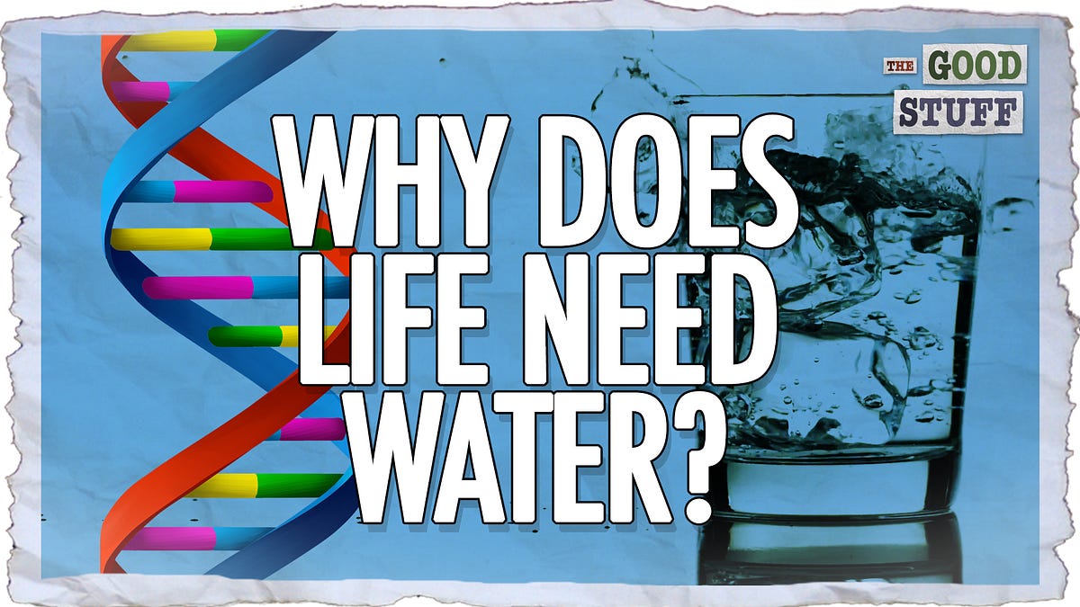 All Life Needs Water. Why?. Could aliens drink something else? by