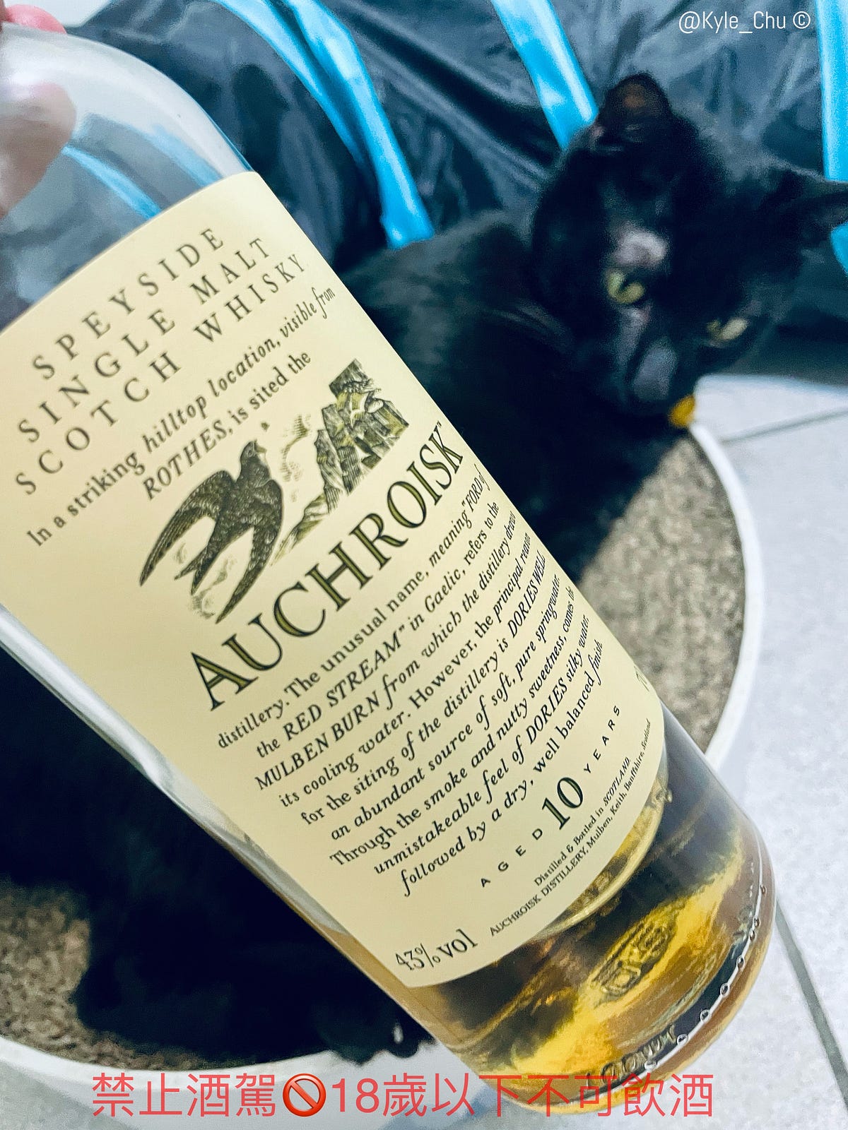 「每日微醺」 威士忌 🥃：奧斯魯斯克10年 單一純麥威士忌 2024 Daily drinker Auchroisk 10 YO