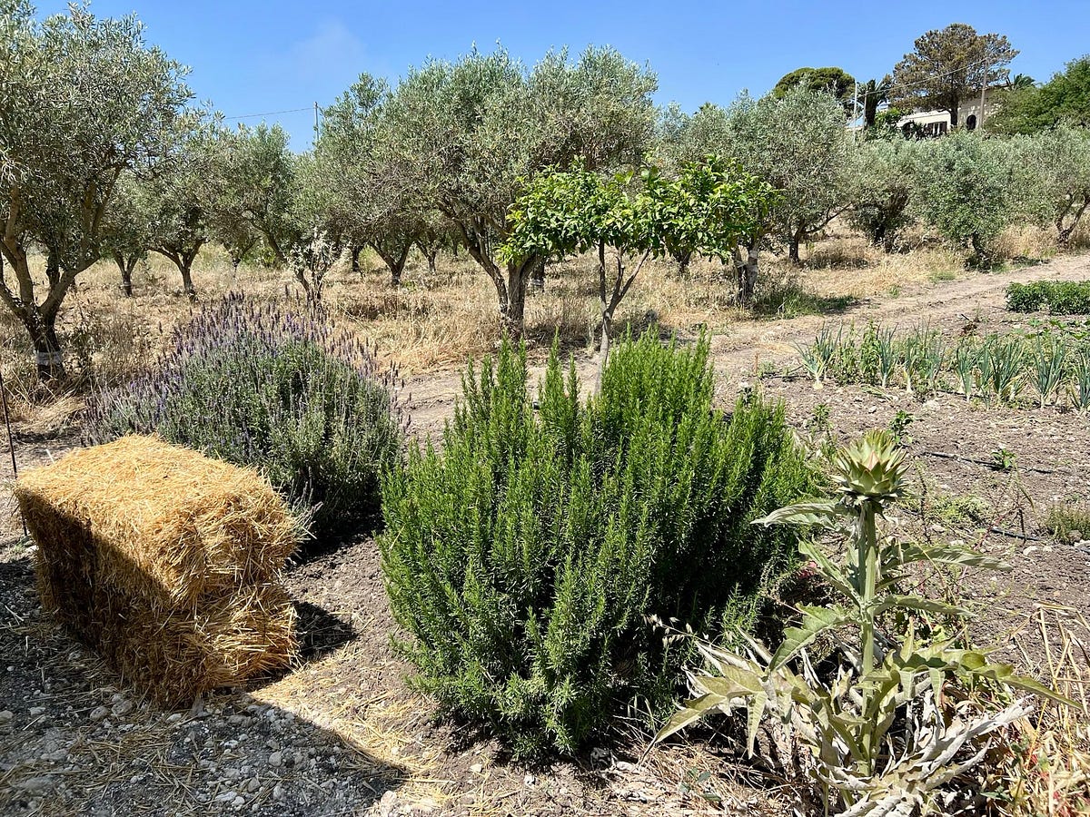Province of Agrigento - Wikidata, image size:1200x900