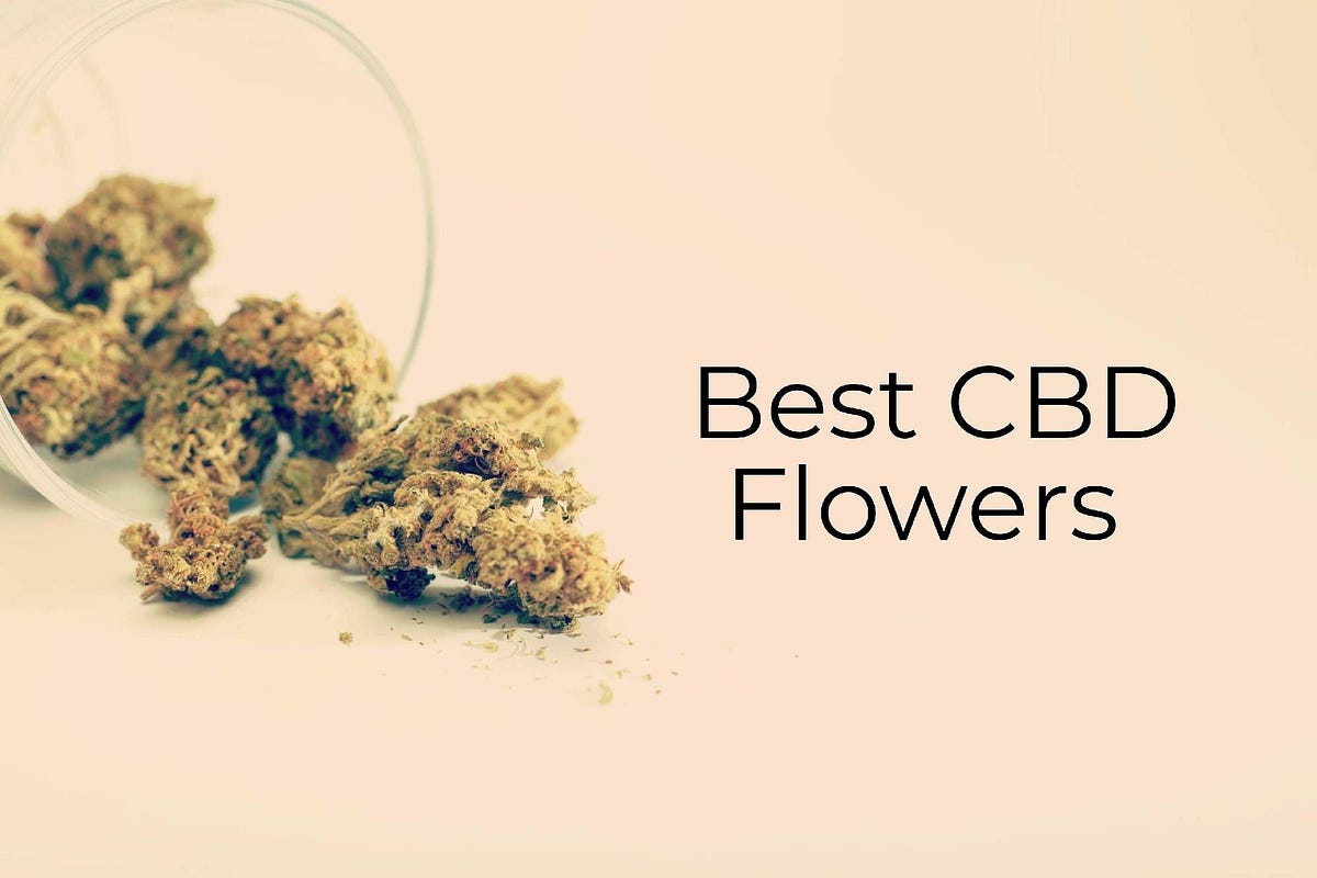 Best CBD Flowers. Give a try to the best CBD flowers in… by Raphael