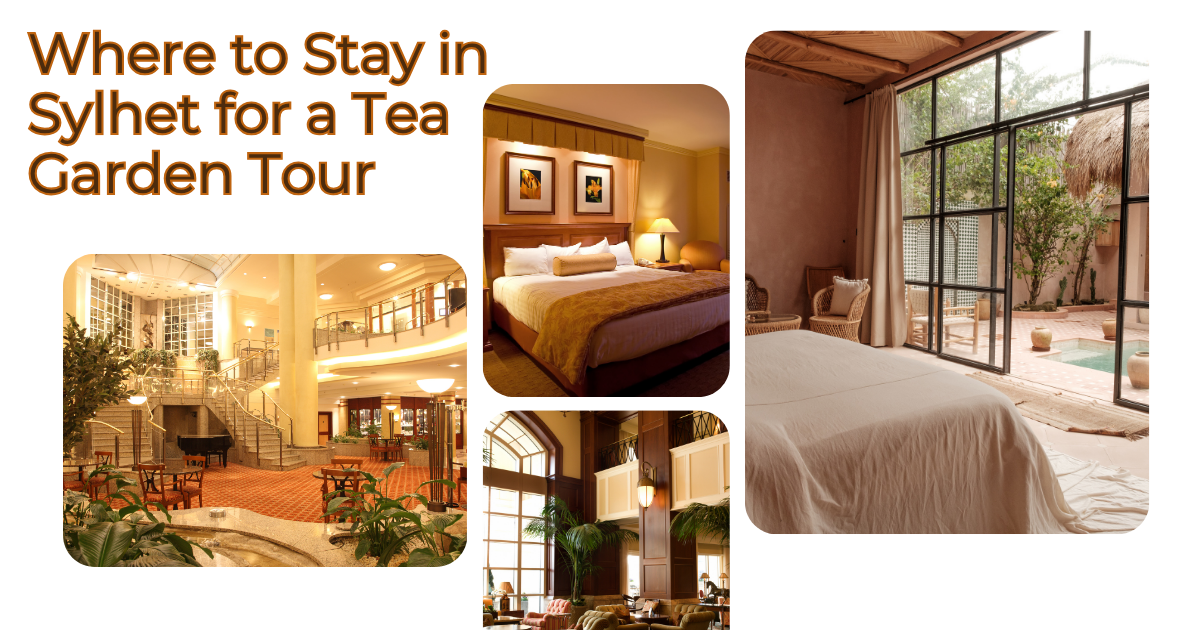 Where to Stay in Sylhet for a Tea Garden Tour