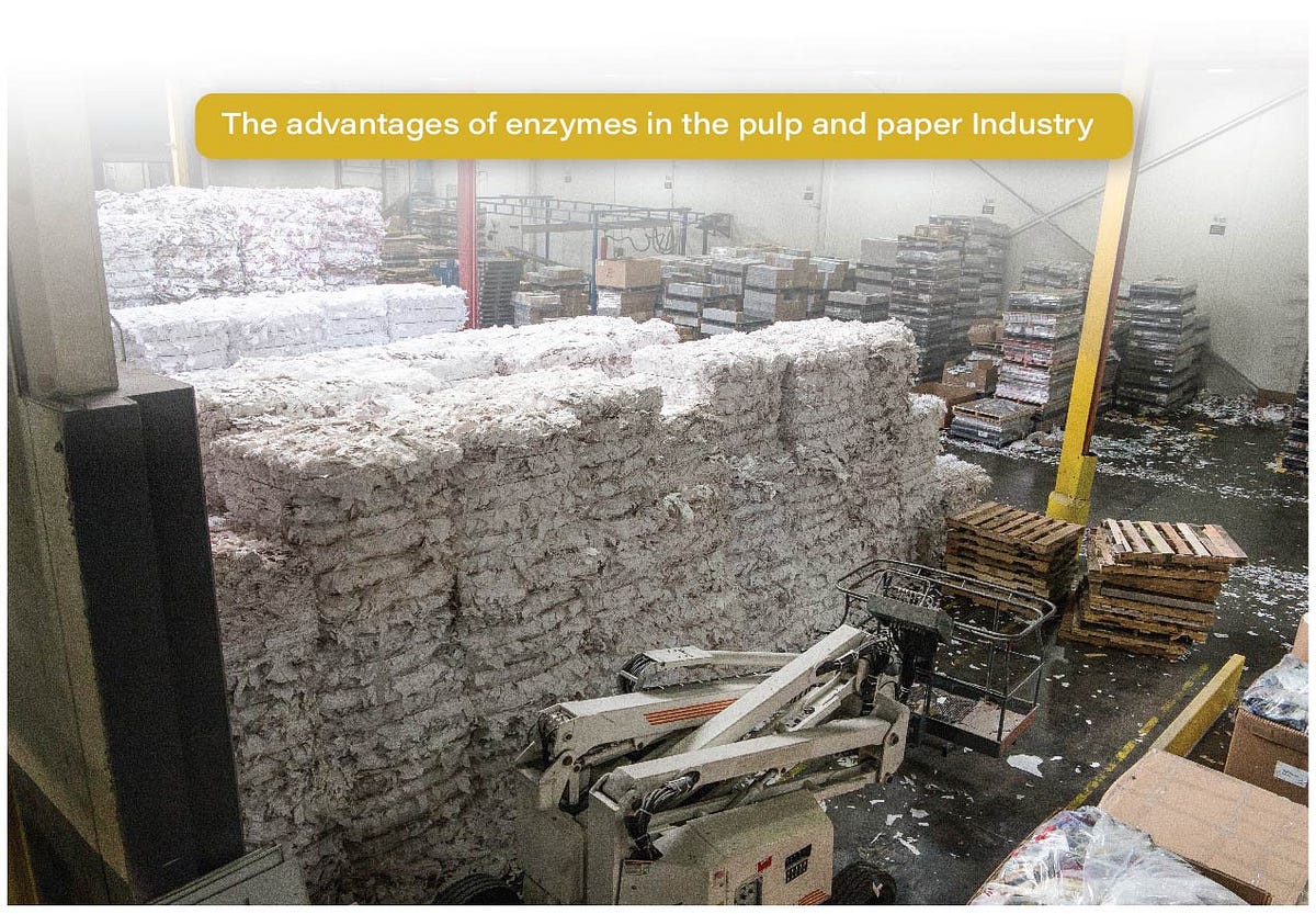 The advantages of enzymes in the pulp and paper Industry by