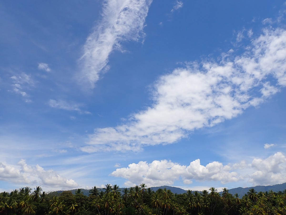 Norovirus and the Fever Dreams. Living one block back from the beach in