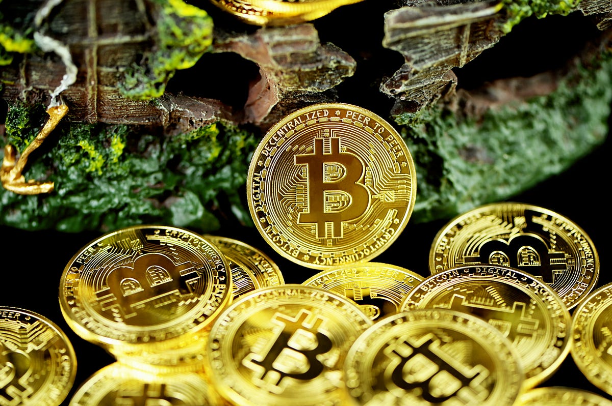 From Numbers to Tokens: How “Language-Style” Crypto Forecasting Beats ...