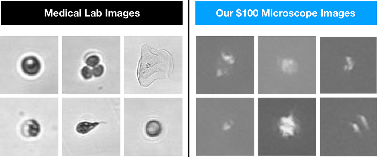 The AutoScope Automated Microscopic Urinalysis by Sidney Primas Medium