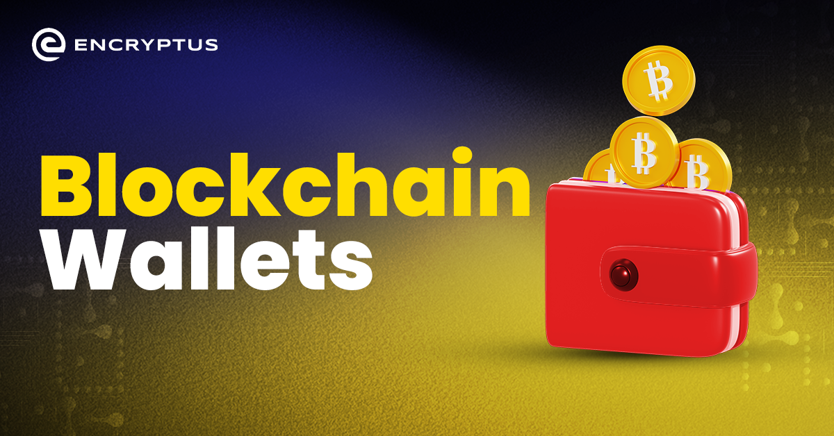 Blockchain Wallets Different Types of Crypto Wallets Explained by