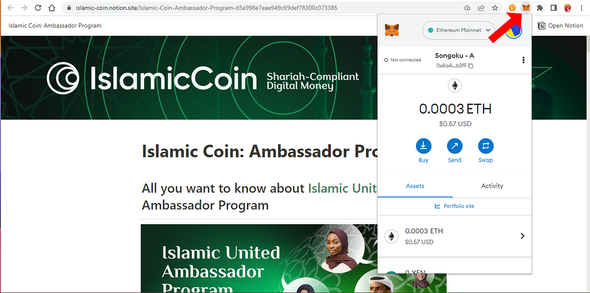 Add Haqq Network (Mainnet) on Metamask - Songoku - Medium