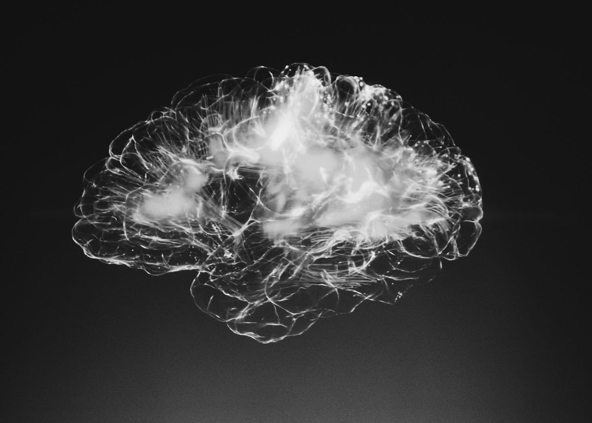 Consciousness: Concepts, Theories, and Neural Networks | by Stephanie Shen | Mar, 2024