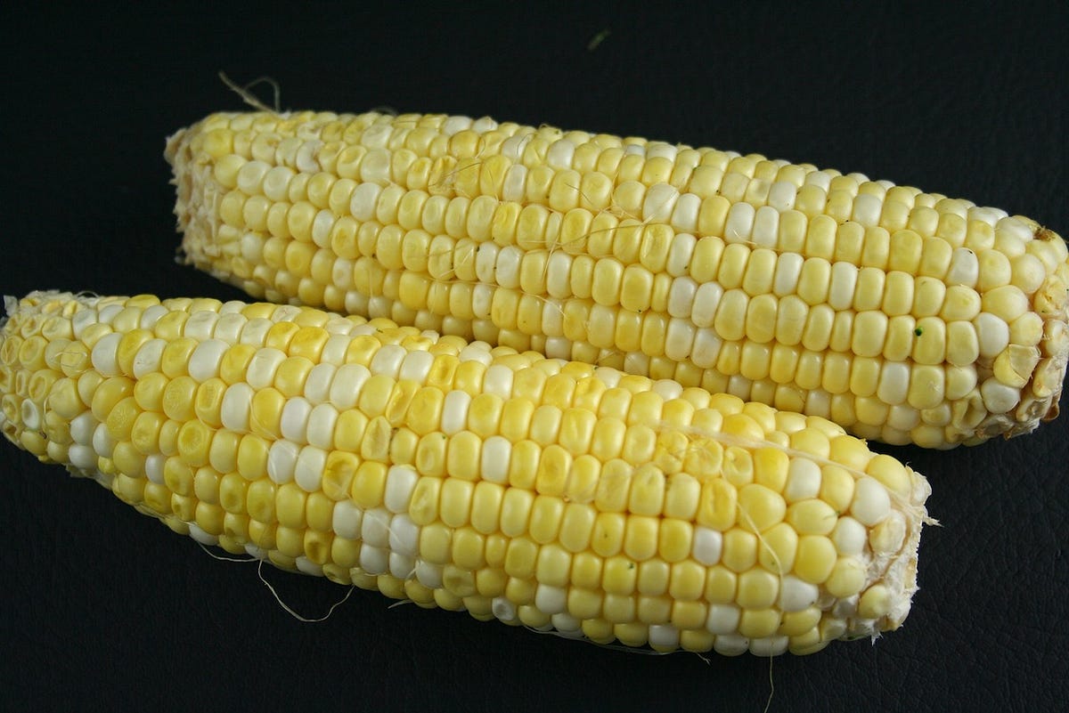 Coping with Corn Sensitivity Understanding Symptoms and Making