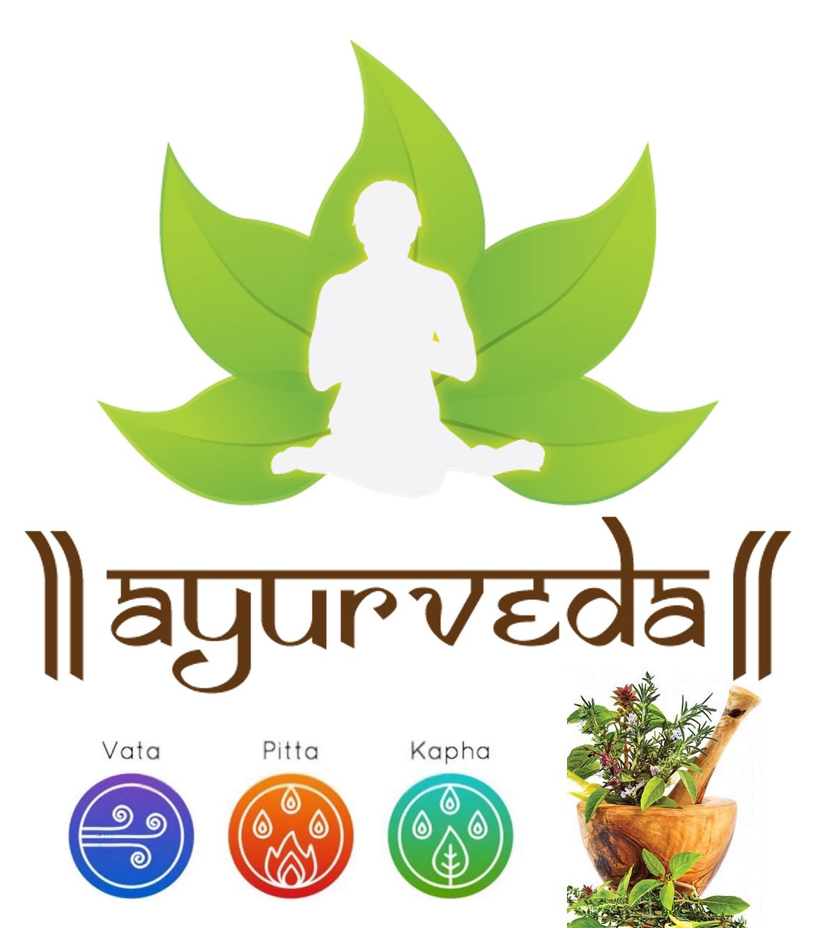 Taking Ayurveda Global -Integrating Western Medicine and Ayurveda at ...