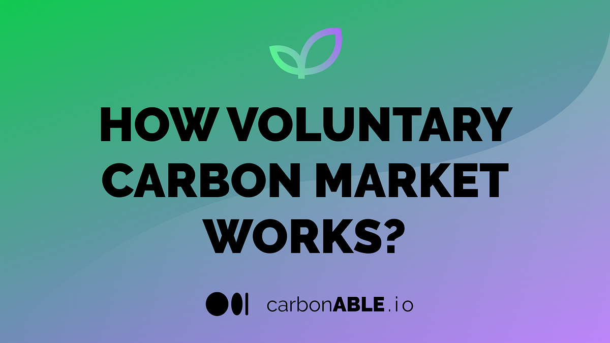 Carbon Markets: What They Are and How They Work