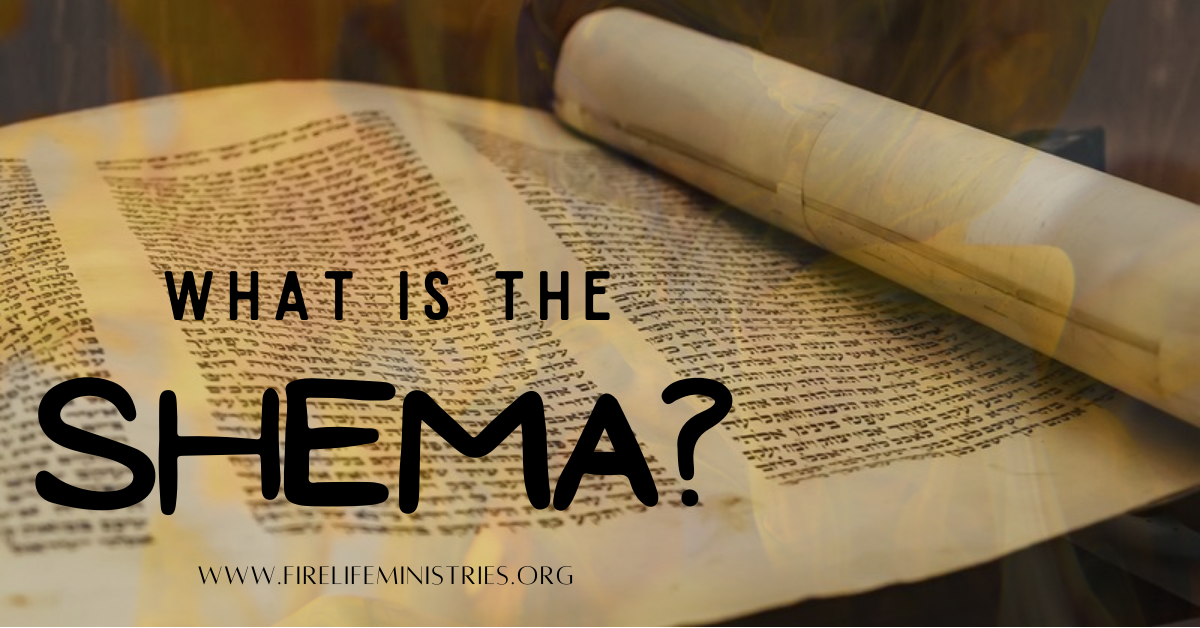 what-is-the-shema-the-shema-according-to-my-jewish-by-lisa-lewolt