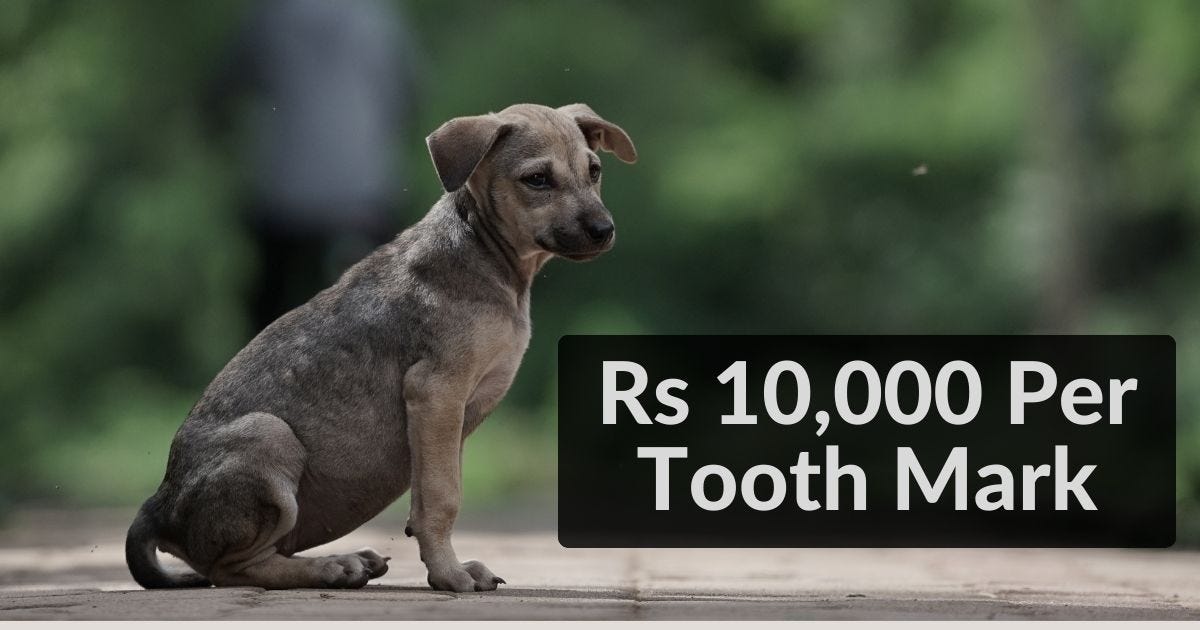 Rs 10,000 Per Tooth Mark Punjab And Haryana High Court Orders Minimum