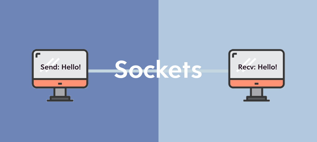 Networking 101 What are sockets? by K.M Ahnaf Zamil Medium