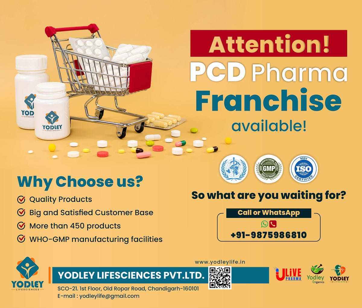 PCD Pharma Distributorship In Bihar by Yodley Life Sciences Medium