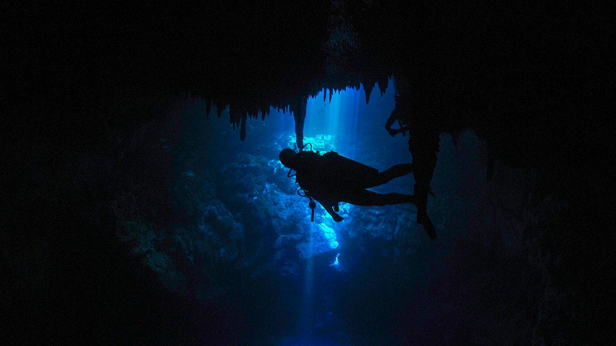 Exploring the Best Dive Sites in Tulum and Cozumel A Guide to Cave