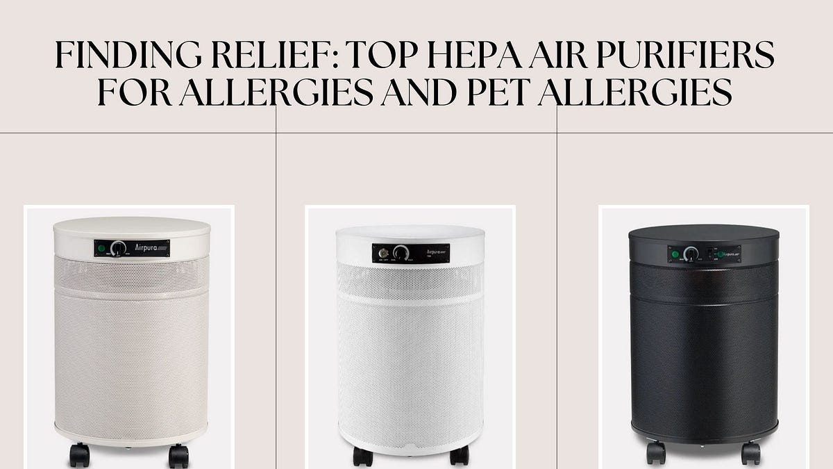 Finding Relief: Top HEPA Air Purifiers for Allergies and Pet Allergies