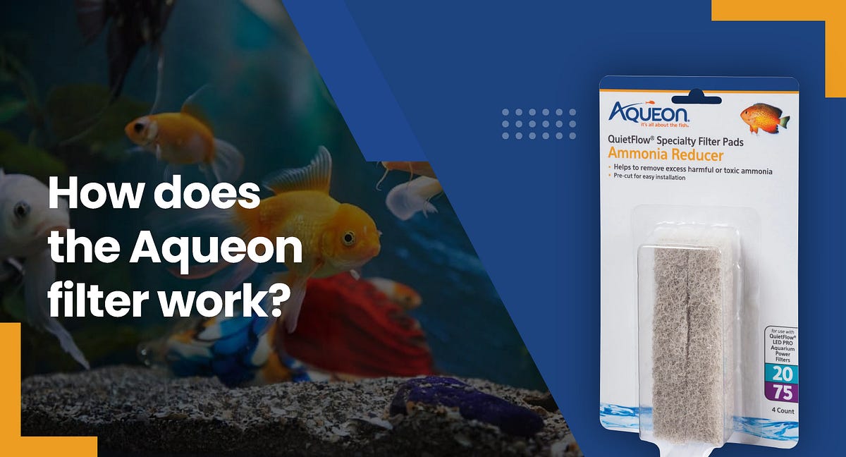 How Aqueon Aquarium Filters Work to Keep Your Tank Clean? by KwikPet