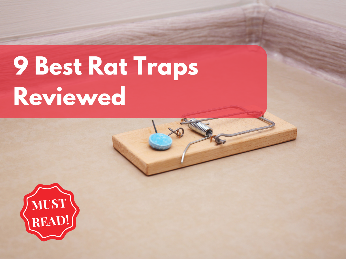 The Kat Sense Mousetrap Is a Great Trap - Full Review. Mousetrap