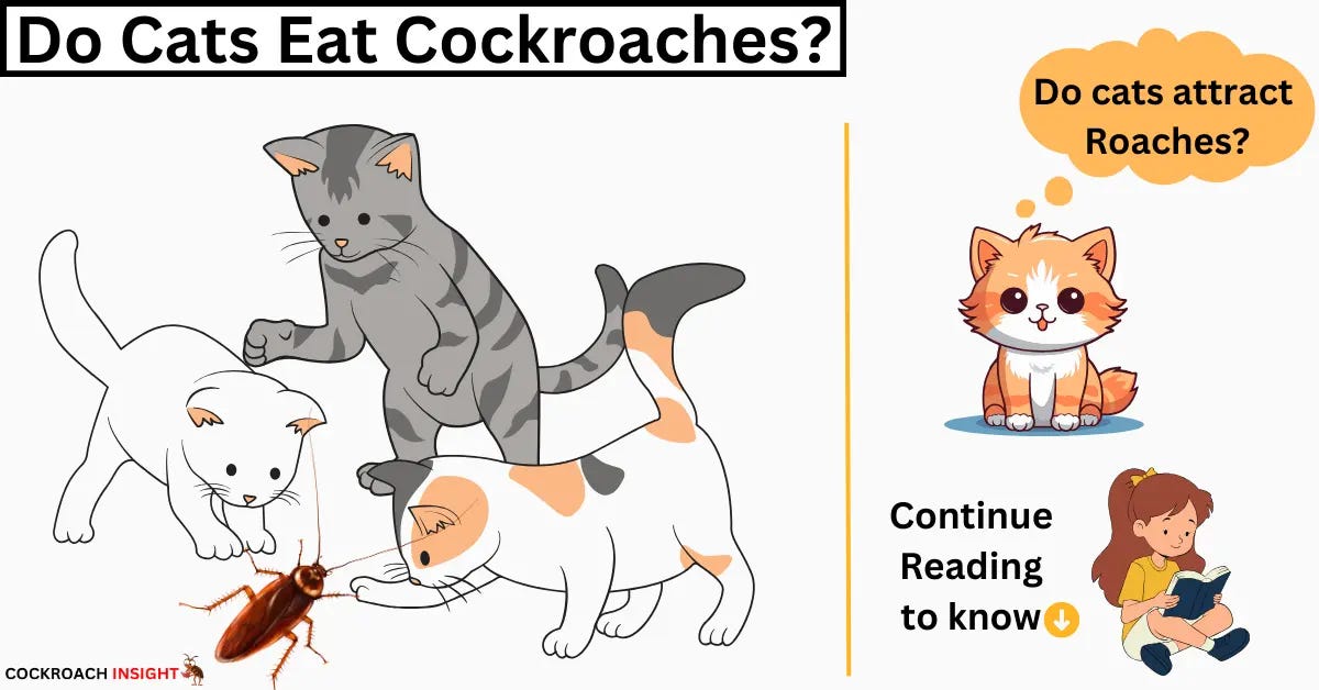 Do Cats Really Eat Roaches?. Do Cats Really Eat Roaches… by Nihar Nayak Jul, 2024 Medium