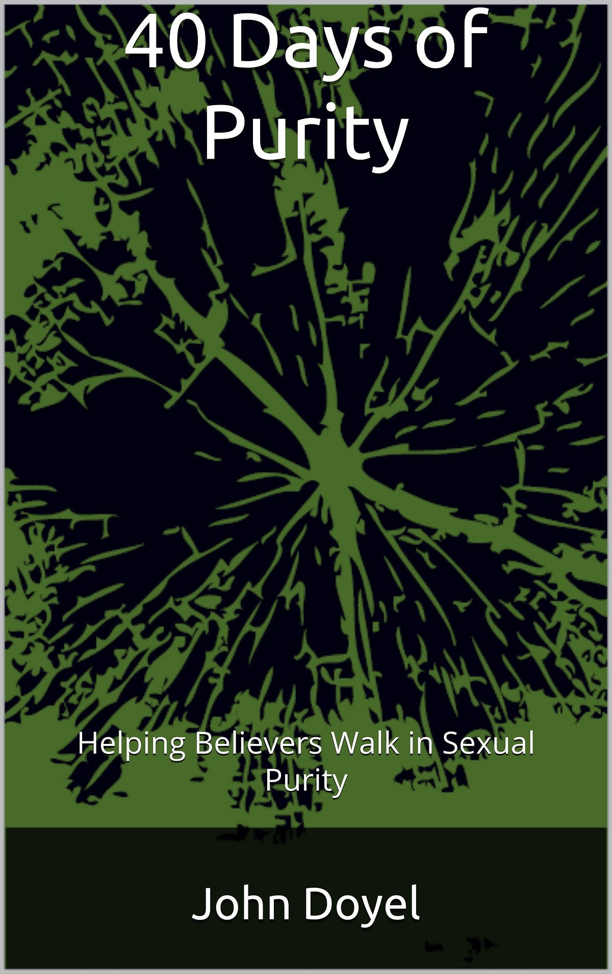 [READ]-40 Days of Purity: Helping Believers Walk in Sexual Purity | by ...