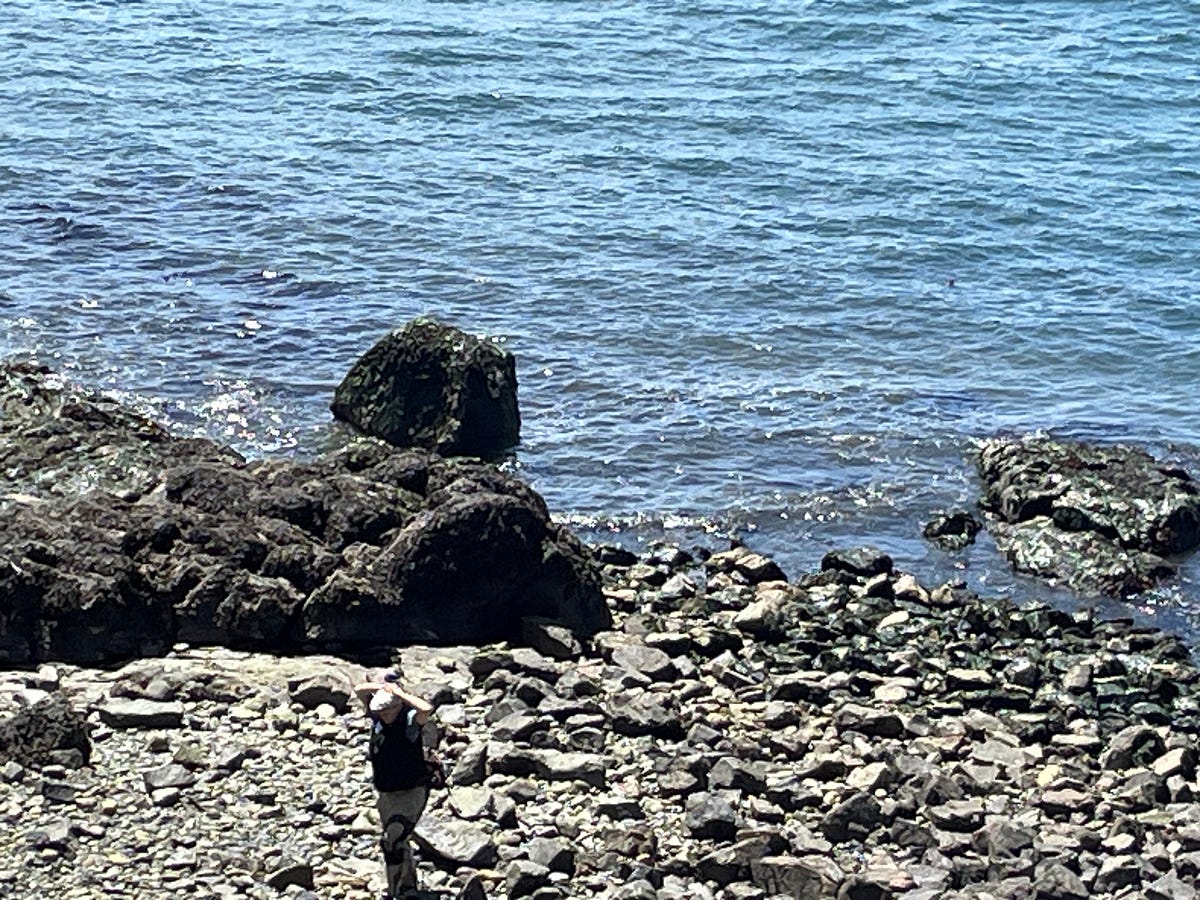 My Solstice “Au Naturel”. A naturalist adventure | by Tovah Rainsong ...