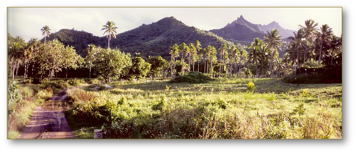 Polynesian Adventure: Reminiscing the Best Memories of My Vacation